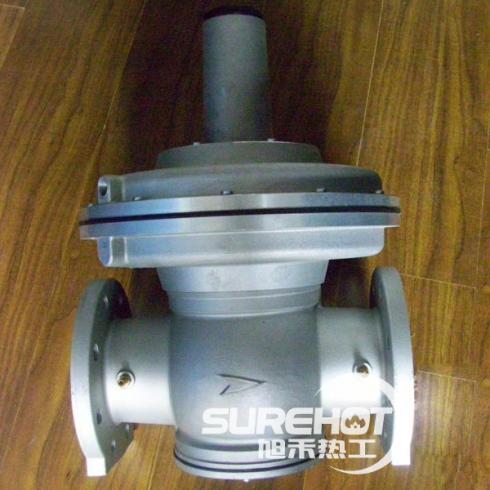 珠麗安妮FS1B系列 大